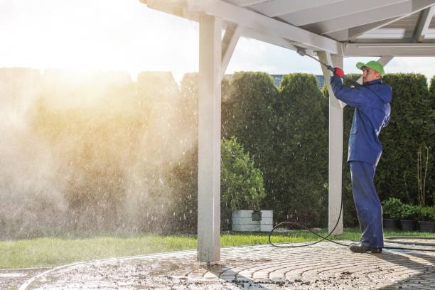 Best Graffiti Removal  in Prescott, AR